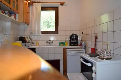 a kitchen with a sink and a stove top oven at Villa Kabasanov in Smolyan