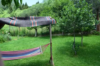 a hammock in a yard next to a tree at Villa Kabasanov in Smolyan