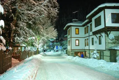 a snow covered street in a town with houses at Hotel Kalina in Shiroka Lŭka