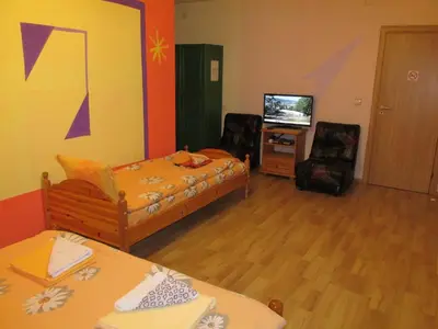a living room with a bed and a tv at Pri Orehite Guesthouse in Oreshak