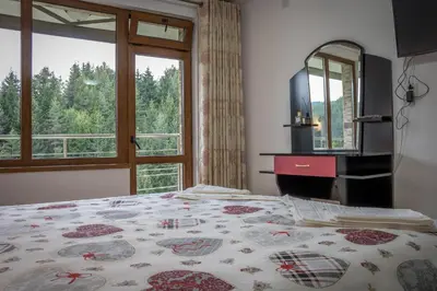 a bedroom with a bed with a large window at Guest House Milka in Yagodina
