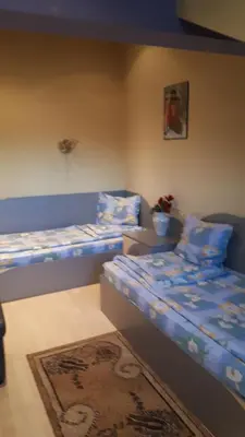 two beds in a room with blue sheets and a rug at Guest House Blisten in Sofia
