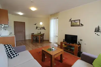 a living room with a couch and a table at Pine Tree Apartment D34 in Bansko