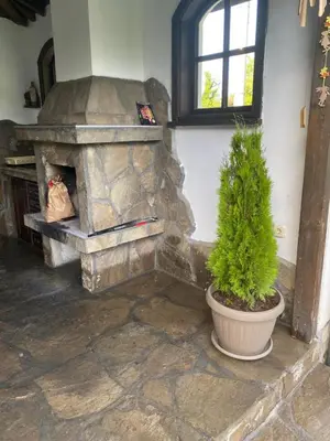 a plant in a pot next to a stone fireplace at Yovkovata Kyshta in Chiflik