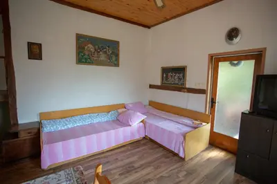 a bedroom with two beds and a tv in it at Вила Бойковец in Boykovets