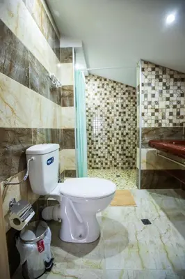 a bathroom with a toilet and a shower at Guest House Holiday in Ognyanovo