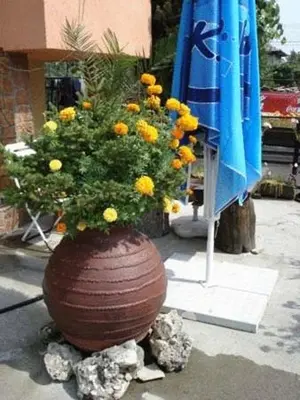 a flower arrangement in a vase on the sidewalk at Mavrikova Kushta in Bansko