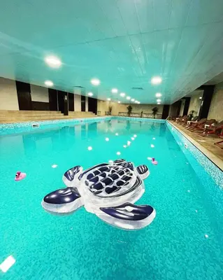 a swimming pool with a turtle in the middle of it at Grand Monastery Private Apartments in Pamporovo