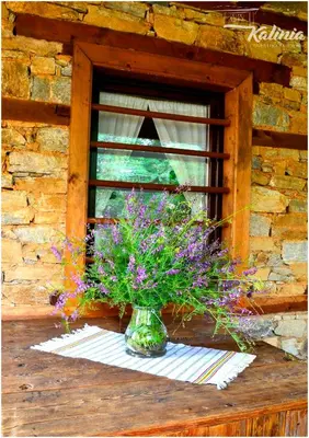 a vase of flowers sitting on a window sill at Kalinia Guesthouse B&B in Kovachevitsa