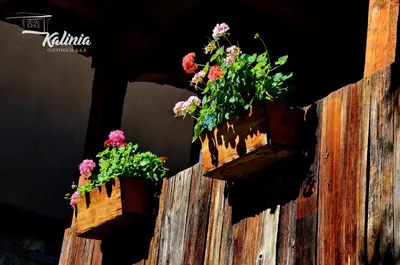 two flower boxes on a wooden fence with flowers at Kalinia Guesthouse B&B in Kovachevitsa
