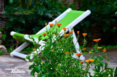 a green lawn chair sitting in a garden with flowers at Kalinia Guesthouse B&B in Kovachevitsa