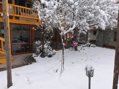 a snow covered tree in front of a building at Mamin Kolio in Bansko
