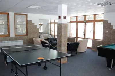 a ping pong room with a ping pong table at Elitza Villa in Pamporovo