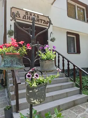 a group of potted plants on the stairs of a building at Villa Sveti Dimitar in Borovets