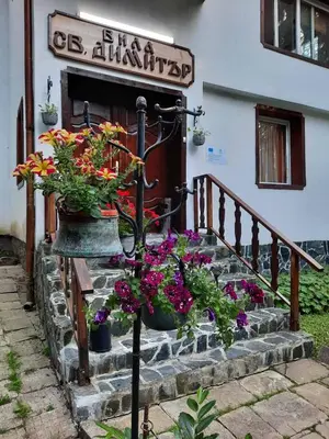 a group of flowers in vases on the stairs of a building at Villa Sveti Dimitar in Borovets