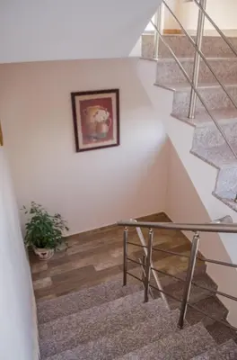 a staircase with a picture on the wall and a plant at Guest House Dinevi in Sapareva Banya