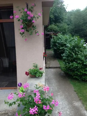 a bunch of flowers on the side of a house at The Lake Villa in Smolyan