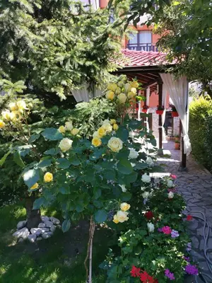 a garden of flowers in front of a building at Boutique Guest House IKONOMOV in Bansko
