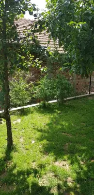 a green yard with a tree and a fence at Mihaylova kushta in Lyubosh