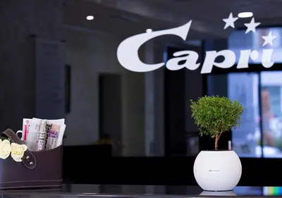 a white vase with a plant in it on a table at Hotel Capri in Plovdiv