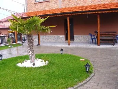 a palm tree in the grass in front of a building at Guest House Nani in Asenovgrad