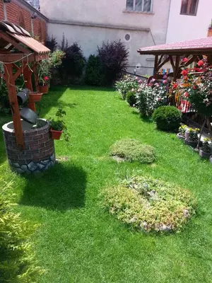 a yard with green grass and flowers and a building at Family Hotel Yola in Chepelare