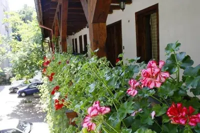 a bunch of flowers in front of a building at Hostel Mostel Sofia in Sofia