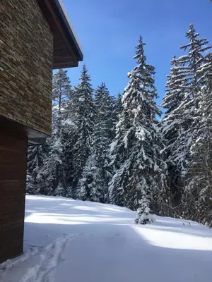 a snow covered yard next to a house with trees at Borovets Chalets in Borovets