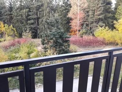 a view of a garden from a balcony at Borovest Garden. in Borovets
