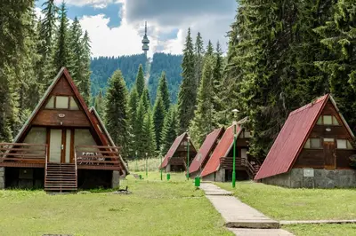 a row of wooden cabins in a forest at Complex Malina Pamporovo in Pamporovo