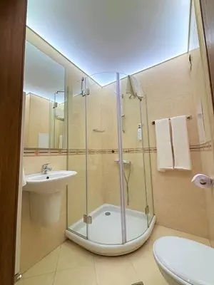 a bathroom with a shower and a sink at Dunav Apartment House in Sofia