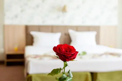 a red rose in a vase on a table with two beds at Alliance Hotel in Plovdiv