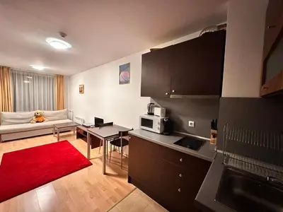 a kitchen and living room with a couch and a red rug at Mountain Paradise 2, One bedroom apartment in Bansko