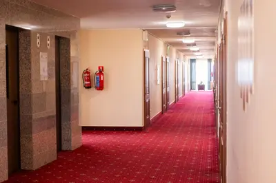 a long hallway with red carpet and fire engines on the wall at Hotel Gorna Banya in Sofia