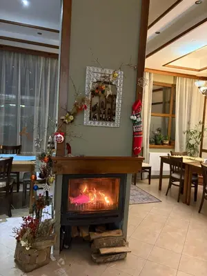 a fireplace in the middle of a living room at Kralev Dvor Hotel in Bansko