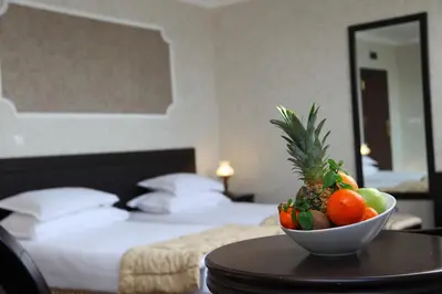 a bowl of fruit on a table in a hotel room at Strimon Garden Medical SPA Hotel in Kyustendil