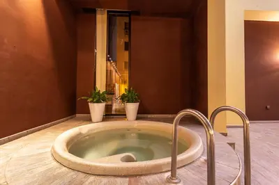 a large tub in a bathroom with two potted plants at Grand Hotel Plovdiv in Plovdiv