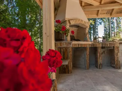 a stone fireplace on a patio with red flowers at Green Life Family Apartments Pamporovo in Pamporovo