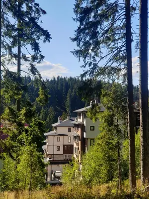 a house in the woods with trees at Green Life Family Apartments Pamporovo in Pamporovo