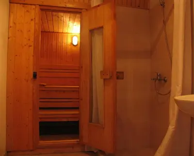 a bathroom with a shower with a wooden door at Michel Hotel in Bansko