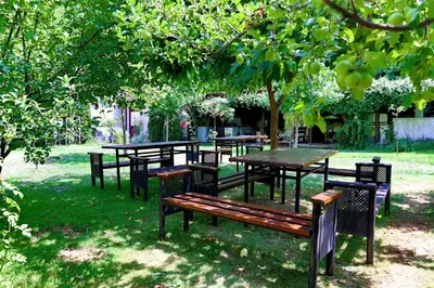 a group of tables and benches under a tree at Хотел Свети Трифон in Melnik