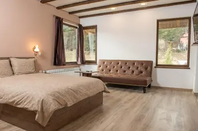 a bedroom with a bed and a couch and windows at Vila Lidia in Tsigov Chark