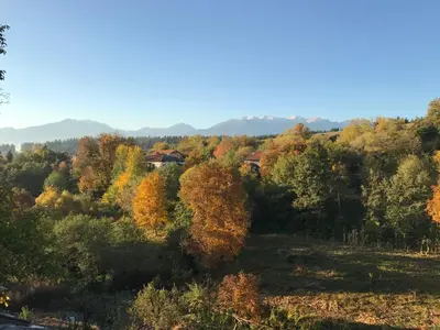 a forest filled with trees in the fall at Das Landhaus in Bachevo