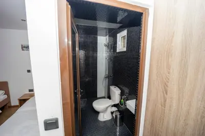 a bathroom with a toilet in a shower stall at Banya Guest Rooms 23 in Banya