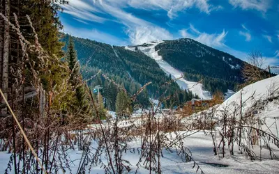 a snow covered mountain with a ski slope at EFO Apartment in Bansko