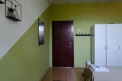 a room with a brown door and green walls at Oleander Rooms & Apartment in Sofia