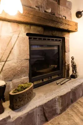 a stone fireplace with a plant in a pot at Vintage Lozenets Apartment in Sofia