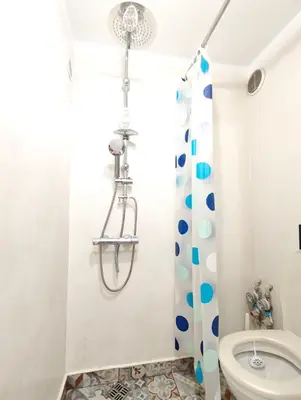 a bathroom with a shower and a toilet at Interhost Guest rooms and apartments in Sofia