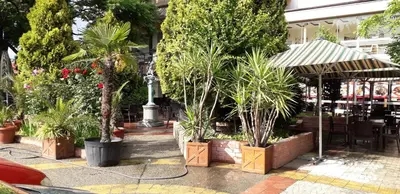a group of potted plants in a garden at Heat Complex Family Hotel in Peshtera