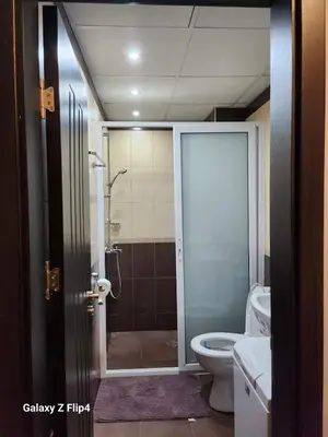 a bathroom with a shower and a toilet with a glass door at Studio Ivana in Sandanski